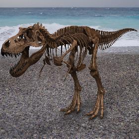 3D模型-T-rex Skeleton